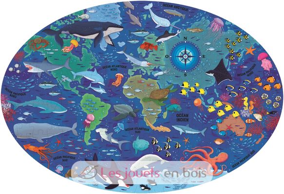 Viajar, descubrir, explorar - El Mar SJ-5847 Sassi Junior 2