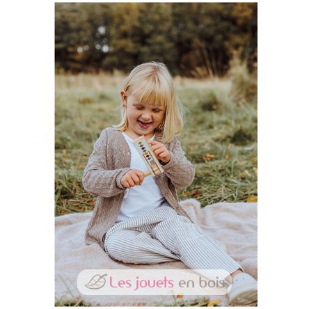 Carraca Arlequín As-83661 Mamamemo 4