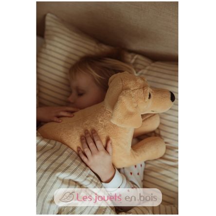 Perro de peluche con peso 2,2 kg As-84680 ByAstrup 4