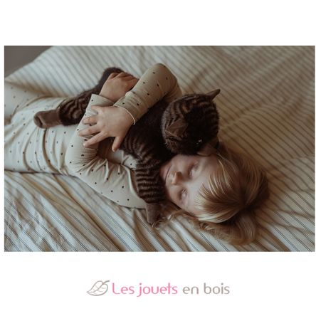 Gato de peluche con peso 1,2 kg As-84684 ByAstrup 4