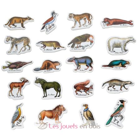 Imanes zoológicos Buffon V9622 Vilac 3