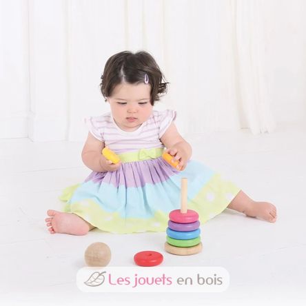 Apilador de arco iris BJ-BB098 Bigjigs Toys 10