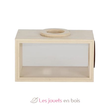 Caja de observación de insectos de madera ED-KG371 Esschert Design 2