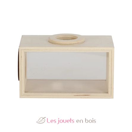 Caja de observación de insectos de madera ED-KG371 Esschert Design 5