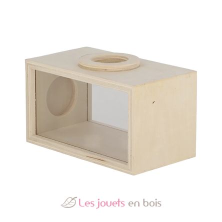 Caja de observación de insectos de madera ED-KG371 Esschert Design 6