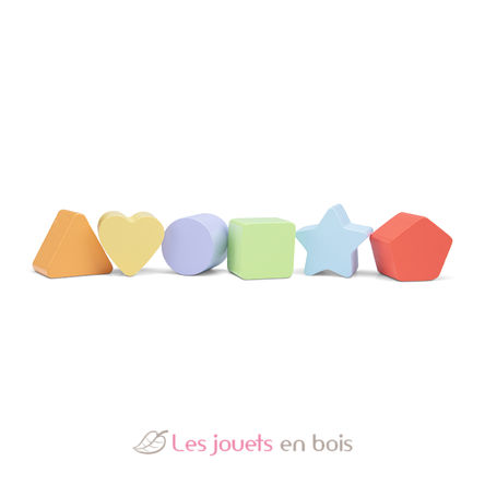 Camión de formas NCT10564 New Classic Toys 5