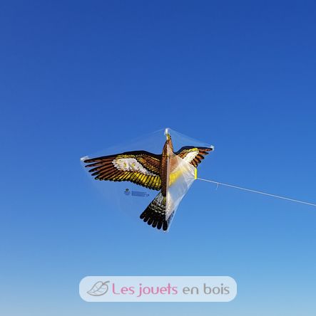 Cometa Águila Dorada GU-1146 Günther 2