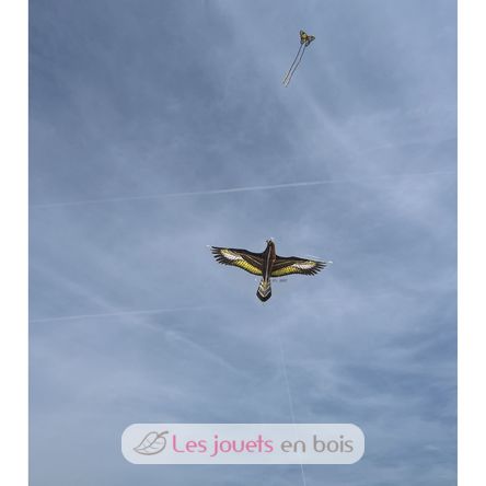 Cometa Águila Dorada GU-1146 Günther 4