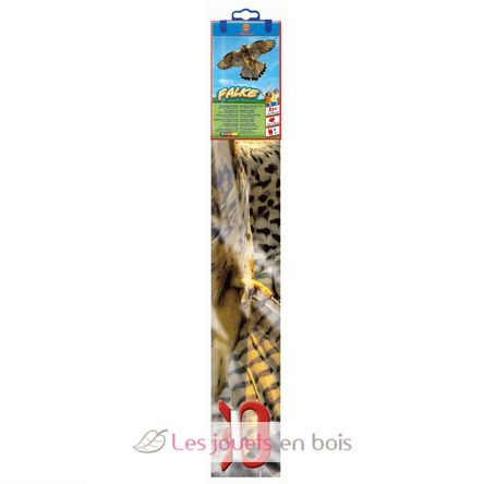 Cometa Halcón GU1230 Günther 2