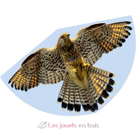 Cometa Halcón GU1230 Günther 1