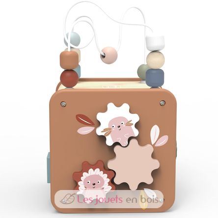 Cubo de actividades 5 en 1 SM-SP1020 Speedy Monkey 2