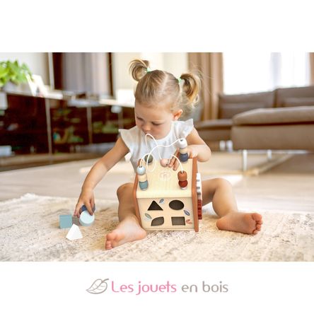 Cubo de actividades 5 en 1 SM-SP1020 Speedy Monkey 7