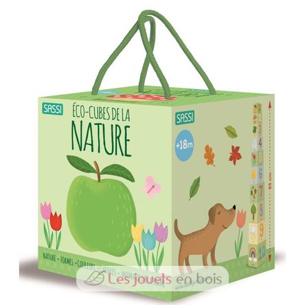 Ecocubos de la naturaleza SJ-2891 Sassi Junior 1