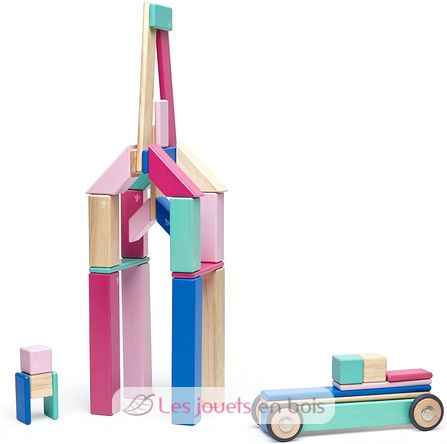 Juego de 42 piezas Blossom TG-42P-BSM-607T Tegu 9