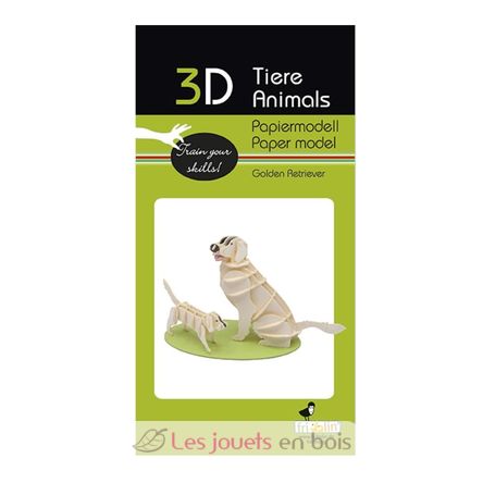 Modelo 3D de papel Golden Retriever FRI-11717 Fridolin 2