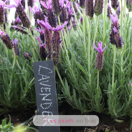 6 marcadores de pizarra para plantas ED-GT131 Esschert Design 5