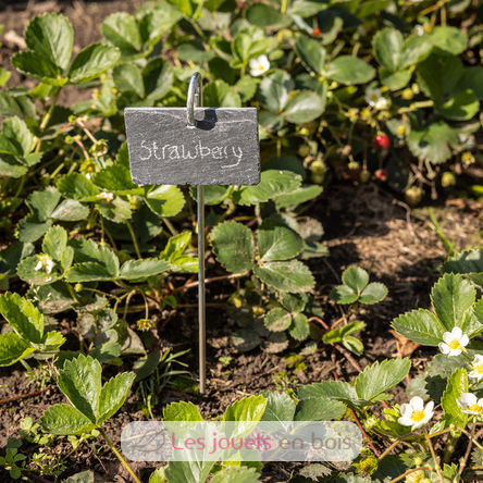 Marcador de pizarra para plantas ED-GT132 Esschert Design 4