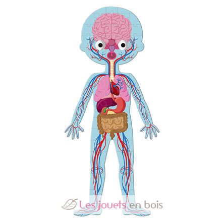 Puzzle educativo El cuerpo humano J02681 Janod 6