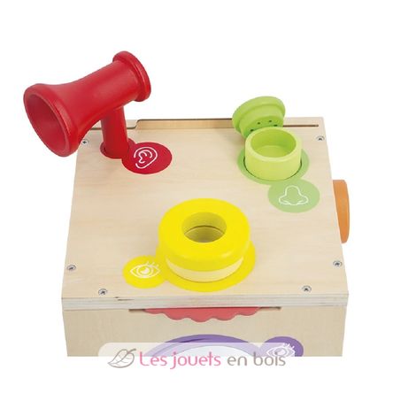 Caja sensorial J05307 Janod 6