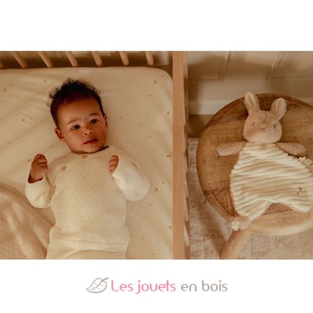 Paño de abrazo conejo Newborn LD8402 Little Dutch 4
