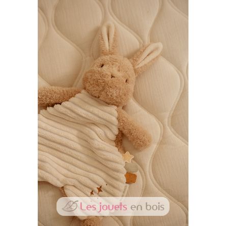 Paño de abrazo conejo Newborn LD8402 Little Dutch 3