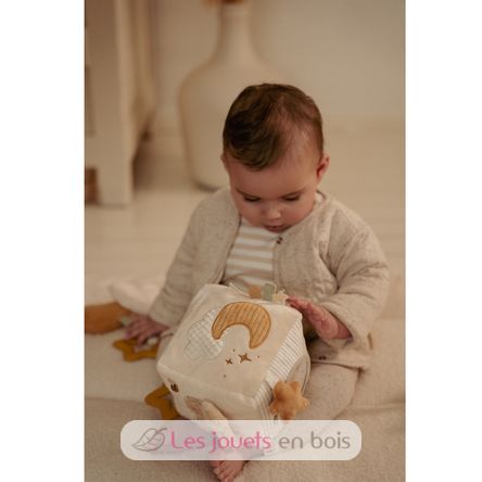 Cubo de actividades blando Newborn LD8409 Little Dutch 12