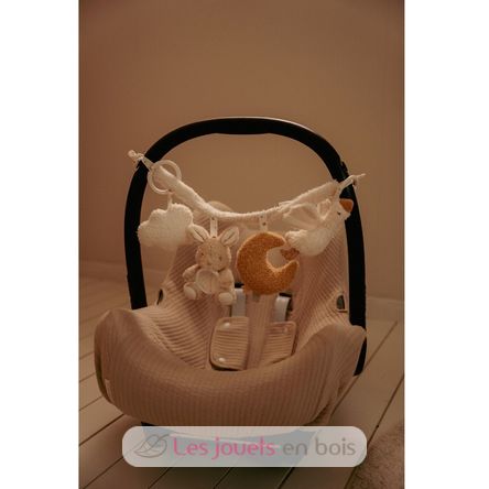 Cadena de actividades para cochecito Newborn LD8411 Little Dutch 4