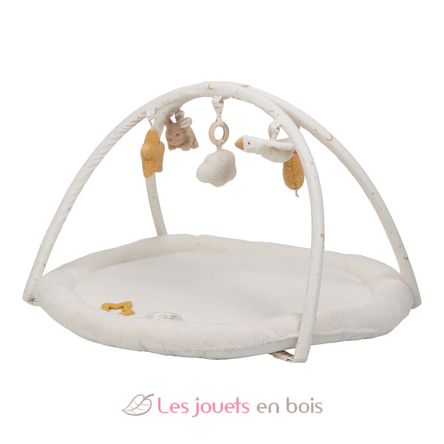 Alfombra de juego Newborn LD8417 Little Dutch 15