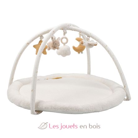 Alfombra de juego Newborn LD8417 Little Dutch 2