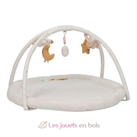 Alfombra de juego Newborn LD8417 Little Dutch 14