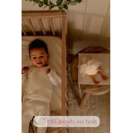 Ganso de peluche musical con luz LD8440 Little Dutch 8