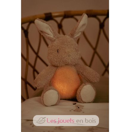 Conejo de peluche musical con luz LD8441 Little Dutch 3