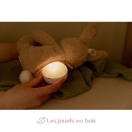 Conejo de peluche musical con luz LD8441 Little Dutch 9
