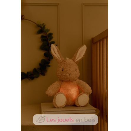 Conejo de peluche musical con luz LD8441 Little Dutch 10