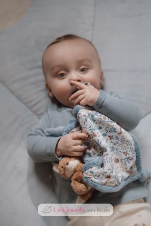 Paño de abrazo Forest Friends LD8927 Little Dutch 6