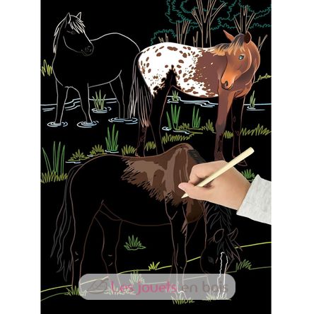 Scratch Art los caballos PI-7822 Piccolia 2