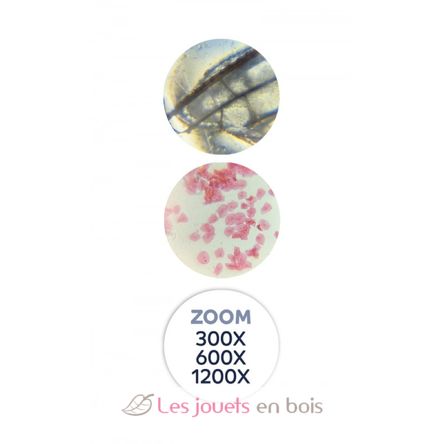 Microscopio 40 experimentos BUK-MR800 Buki France 4