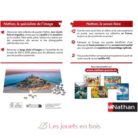 Puzzle Álbumes de Astérix 1000 pzs N12000924 Nathan 4