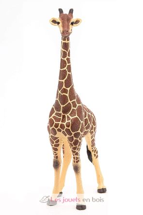 Figura jirafa macho PA50149-3612 Papo 3