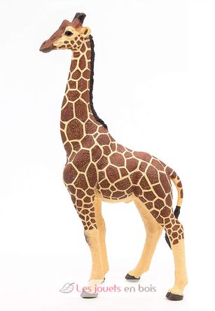 Figura jirafa macho PA50149-3612 Papo 1