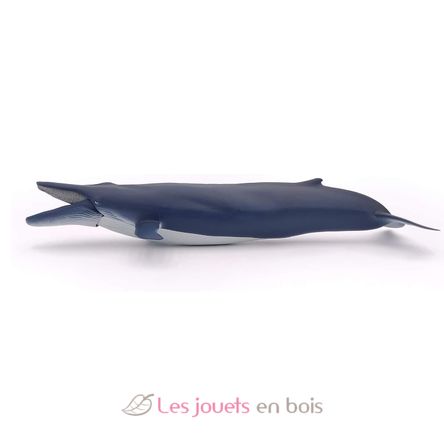 Ballena azul PA56037 Papo 6