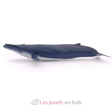 Ballena azul PA56037 Papo 4