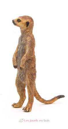Figura de suricata de pie PA50206 Papo 5