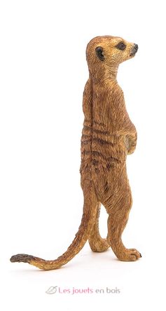 Figura de suricata de pie PA50206 Papo 4