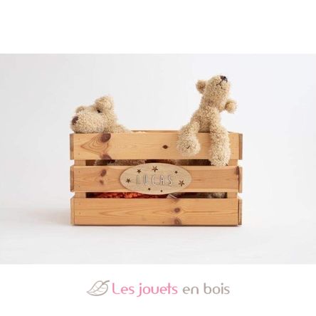 Placa decorativa personalizada - Estrellas VI-PL47 Vintiun 4
