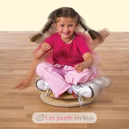 Disco giratorio ER46175-5356 Erzi 3