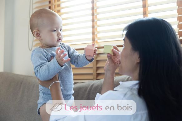 Bloques de madera para desarrollar los sentidos pastel PT5257 Plan Toys 10