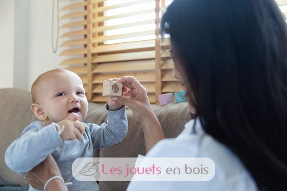 Bloques de madera para desarrollar los sentidos pastel PT5257 Plan Toys 9