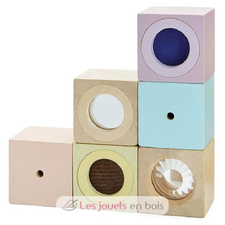 Bloques de madera para desarrollar los sentidos pastel PT5257 Plan Toys 1