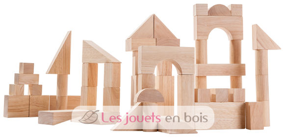 Bloques de construcción de madera de 50 piezas PT5502 Plan Toys 1